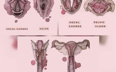 Взаимовръзката между щитовидната жлеза(5-та чакра) и матката на жената(втора чакра)
