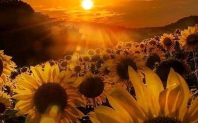 Истинската природа на числото 666, което е Числото на Слънцето, а не на Звяра